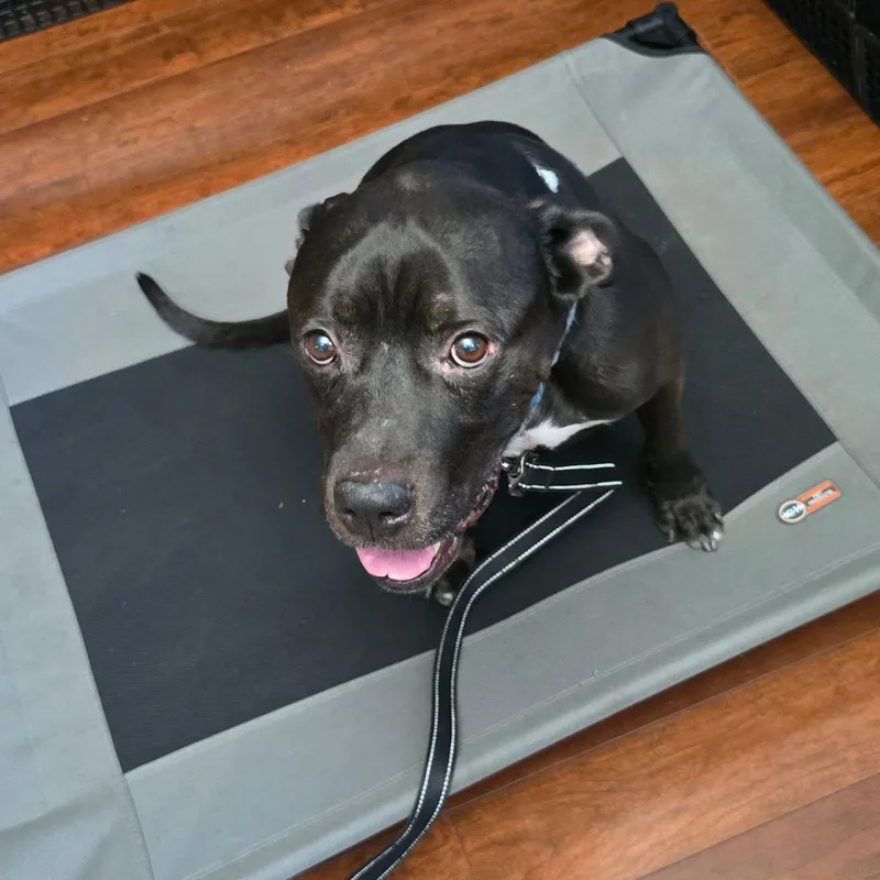 Bryon Cm thumbnail 5