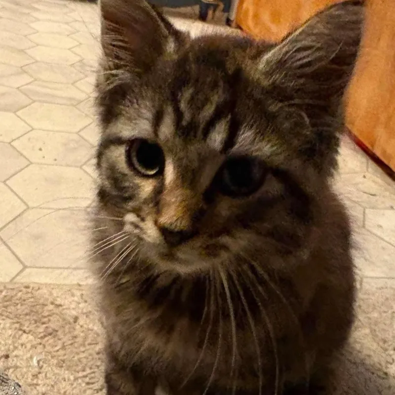 Arthur