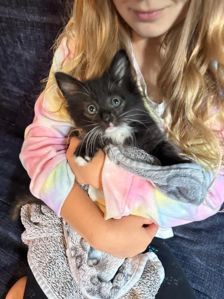 Tate Toebeans thumbnail 5