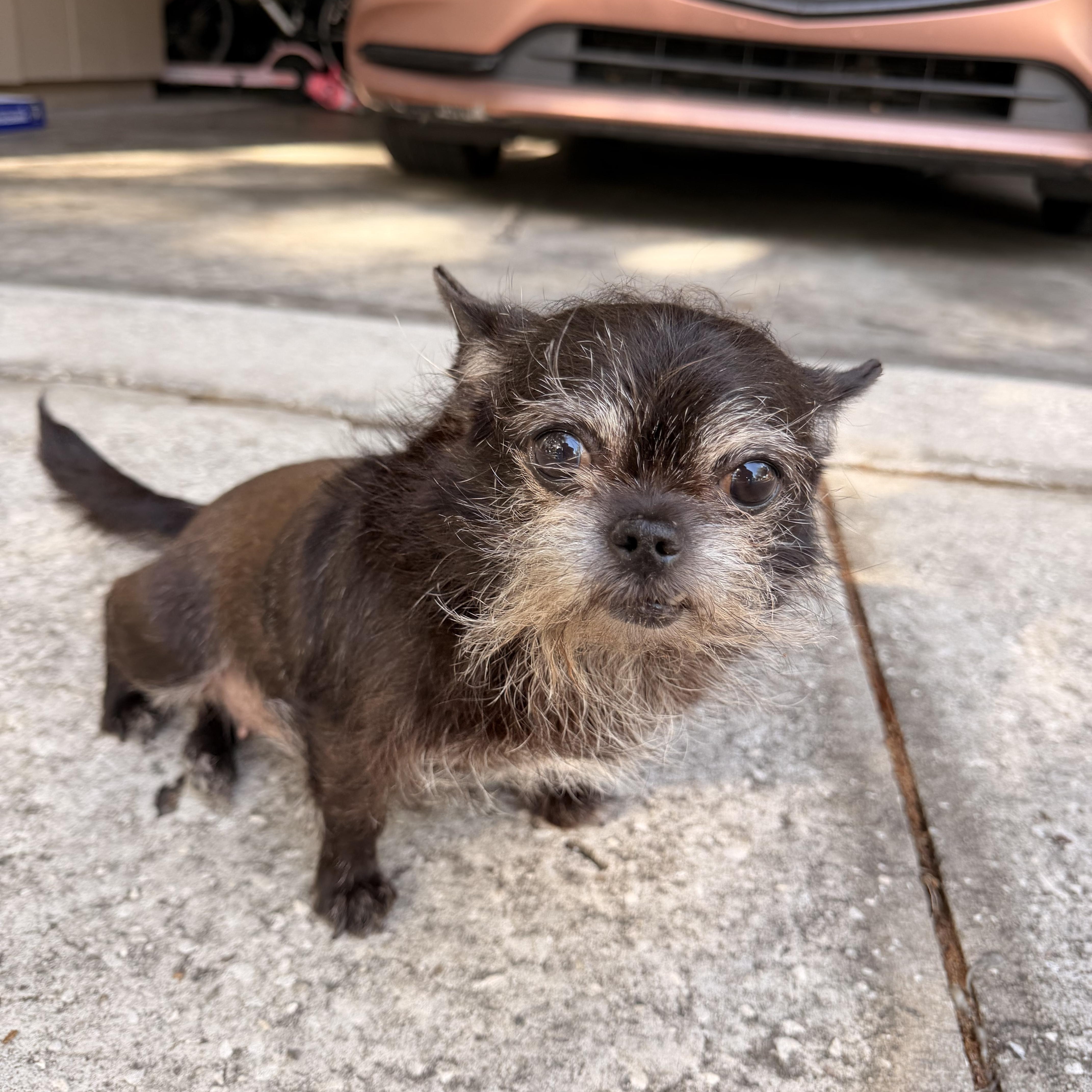 Princess thumbnail 2