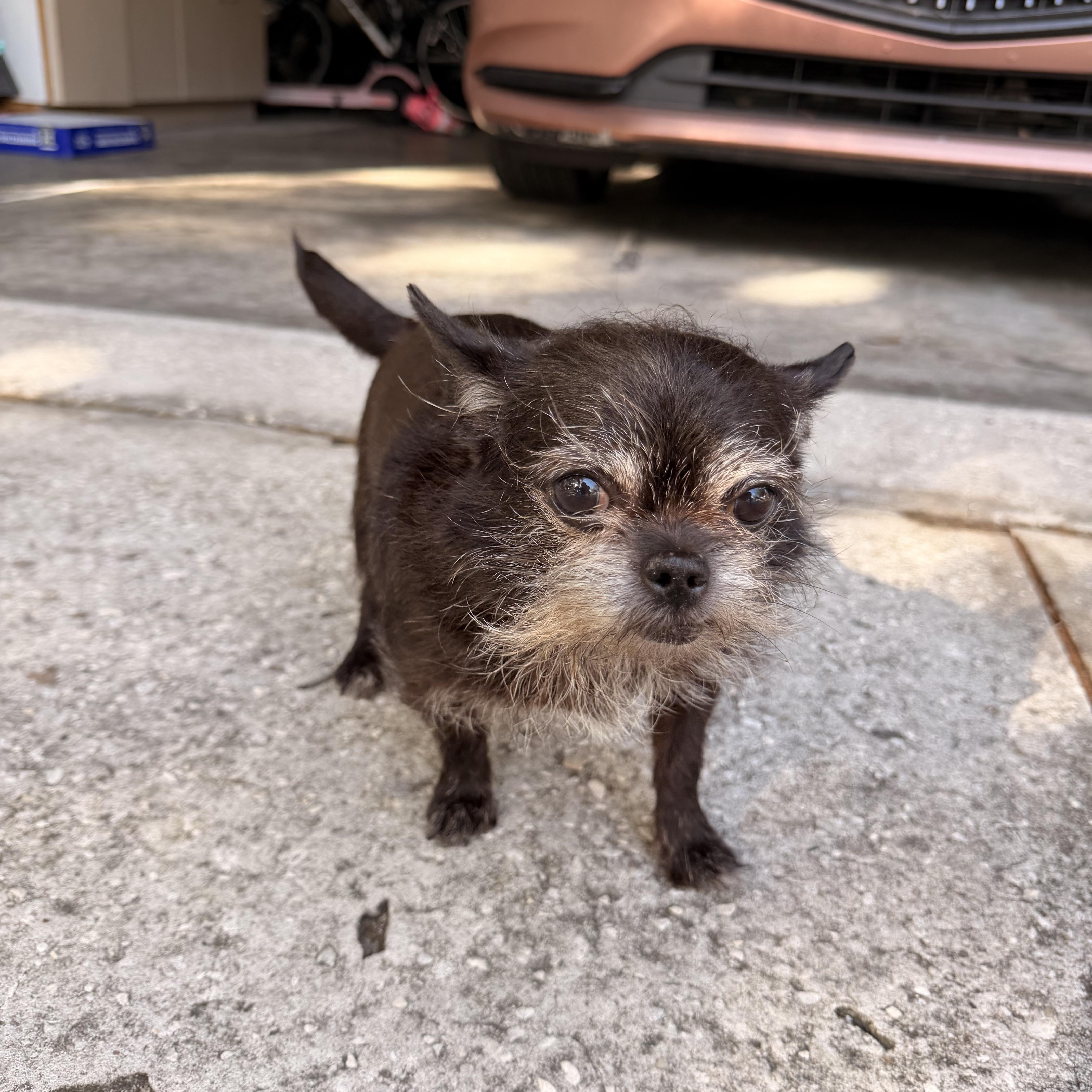 Princess thumbnail 3