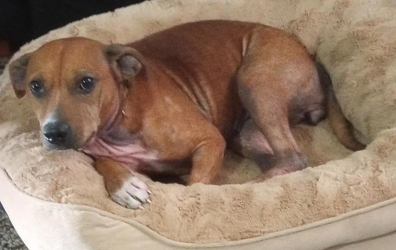 Ellie Mae thumbnail 3