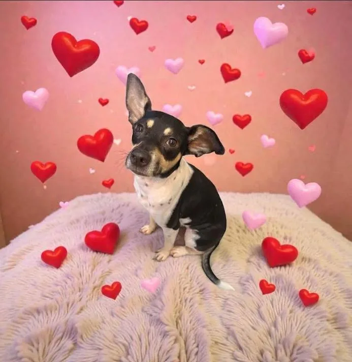 Maggie Jean In Tx thumbnail 2