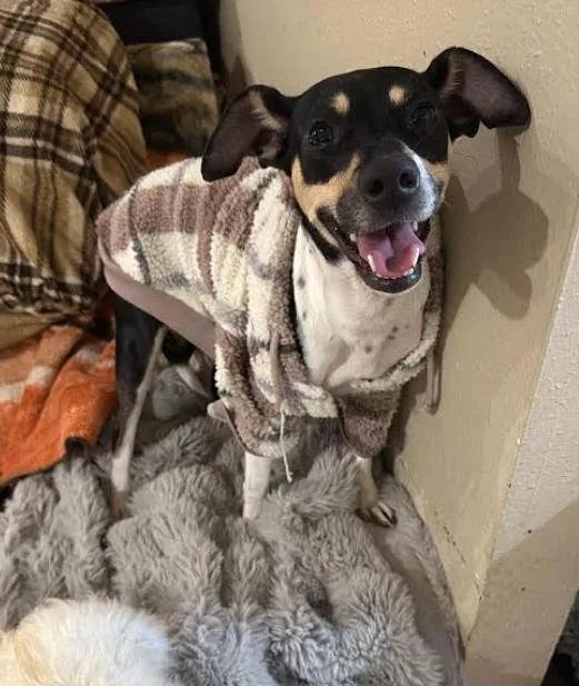 Maggie Jean In Tx thumbnail 3