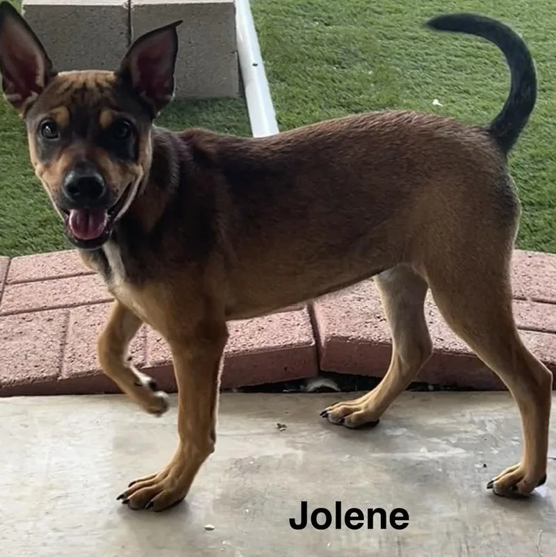 Jolene thumbnail 5
