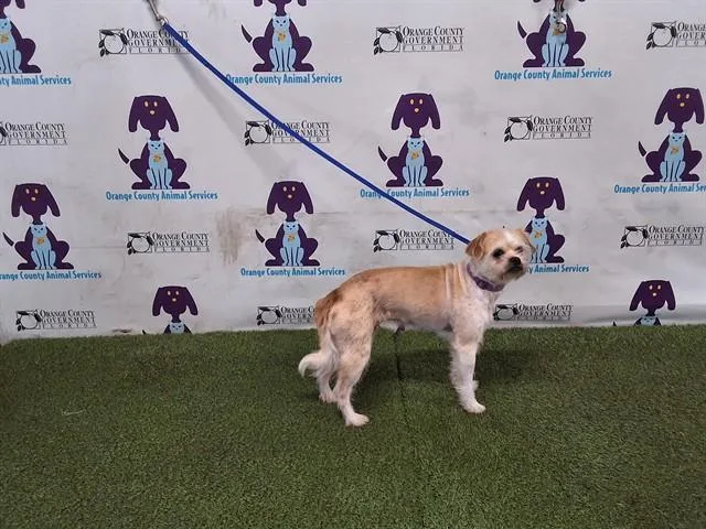 Ellie