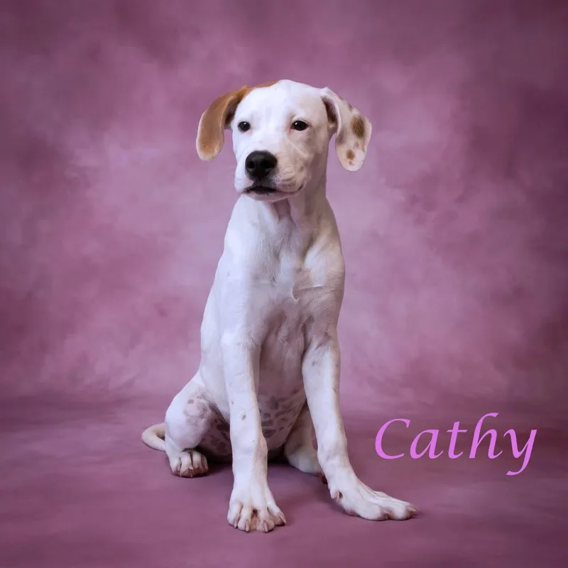 Cathy D thumbnail 2