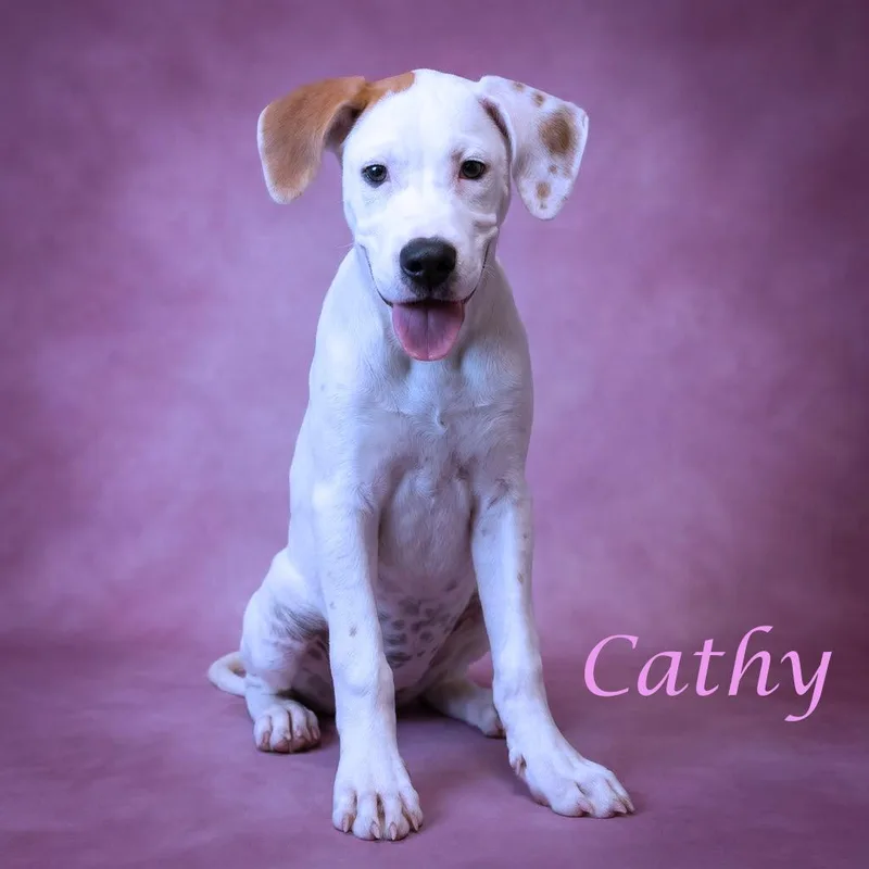 Cathy D thumbnail 4