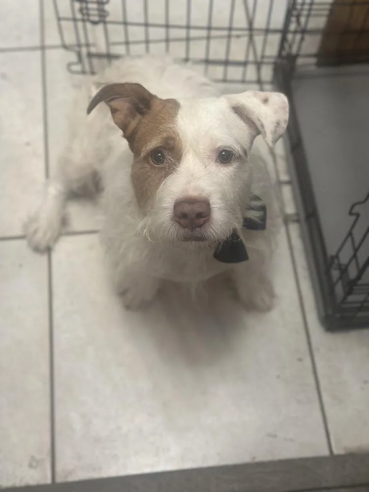 Maverick thumbnail 2