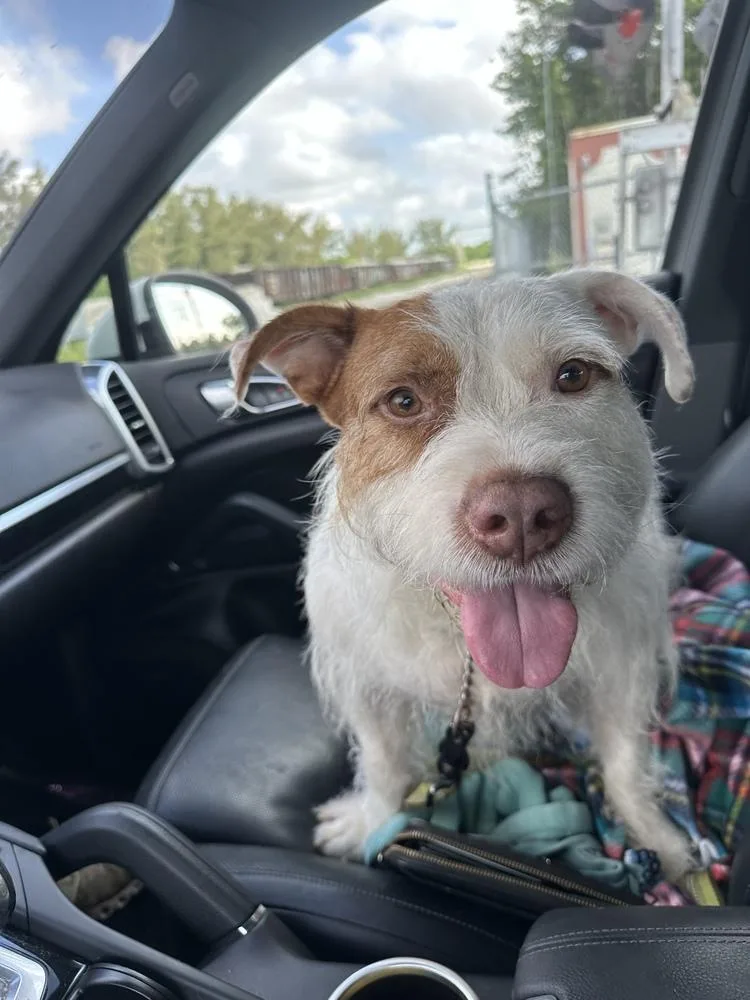 Maverick thumbnail 3