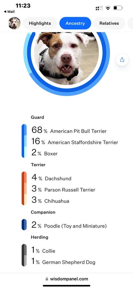 Maverick thumbnail 5