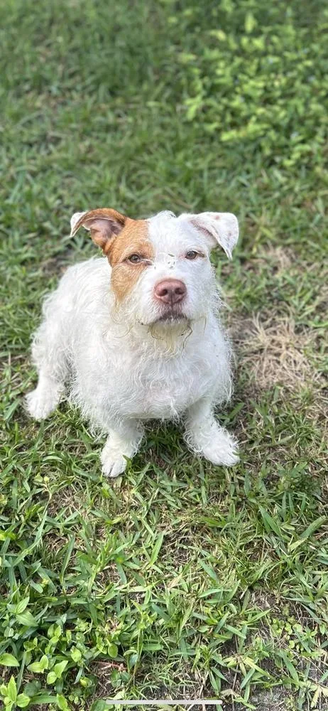 Maverick thumbnail 6