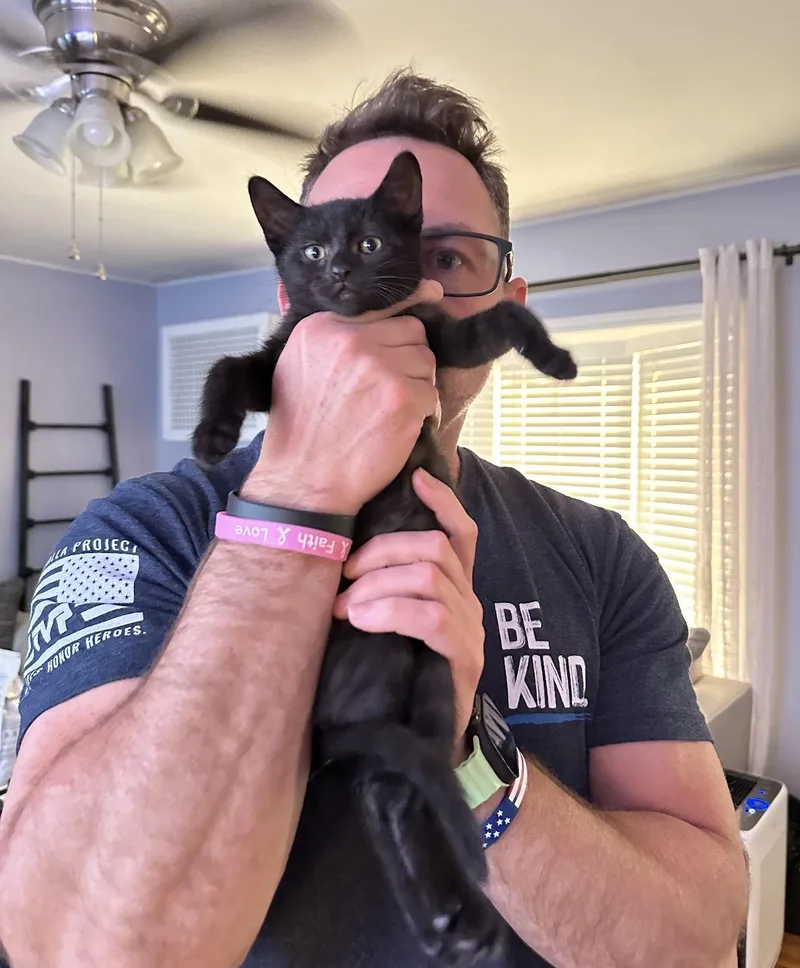 A baby small-sized female Black Domestic Short Hair cat named Replay for adoption in Staten Island, NY