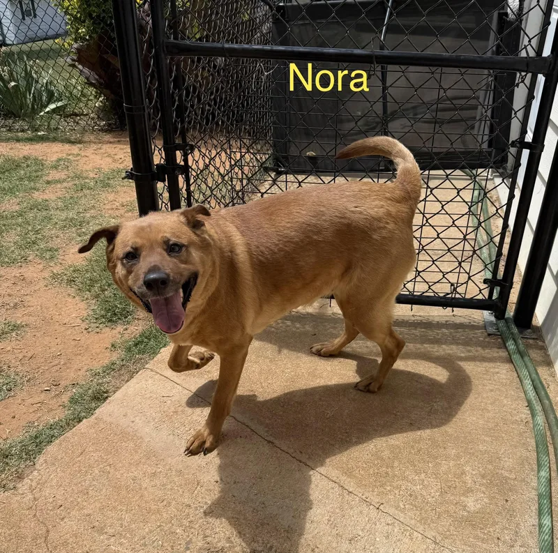 Nora thumbnail 5