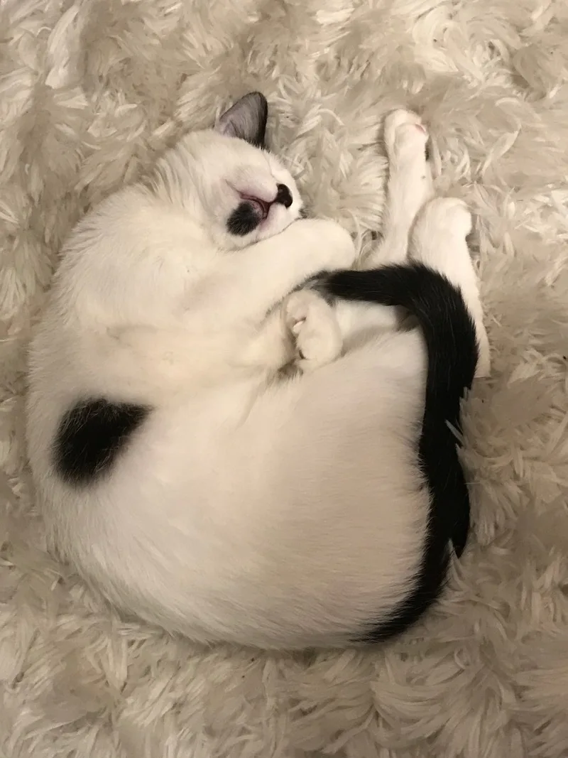 Ruben & Jolly thumbnail 2