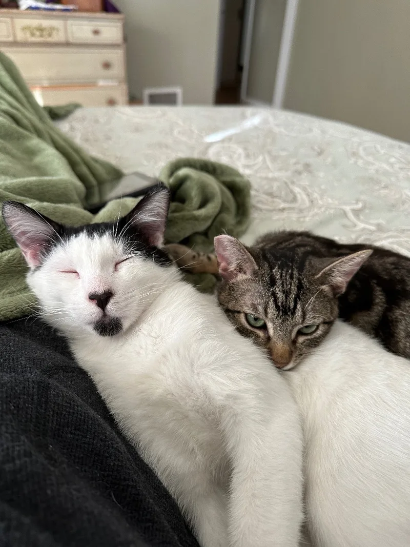 Ruben & Jolly thumbnail 5