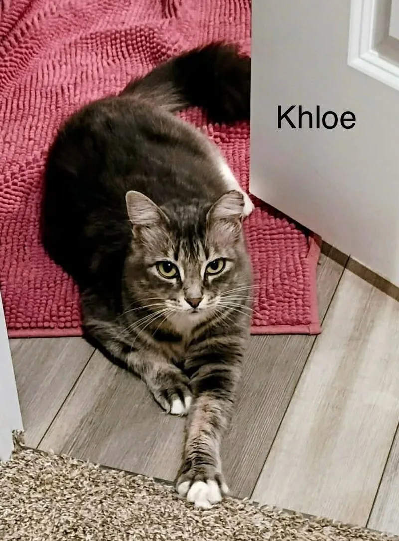Khloe