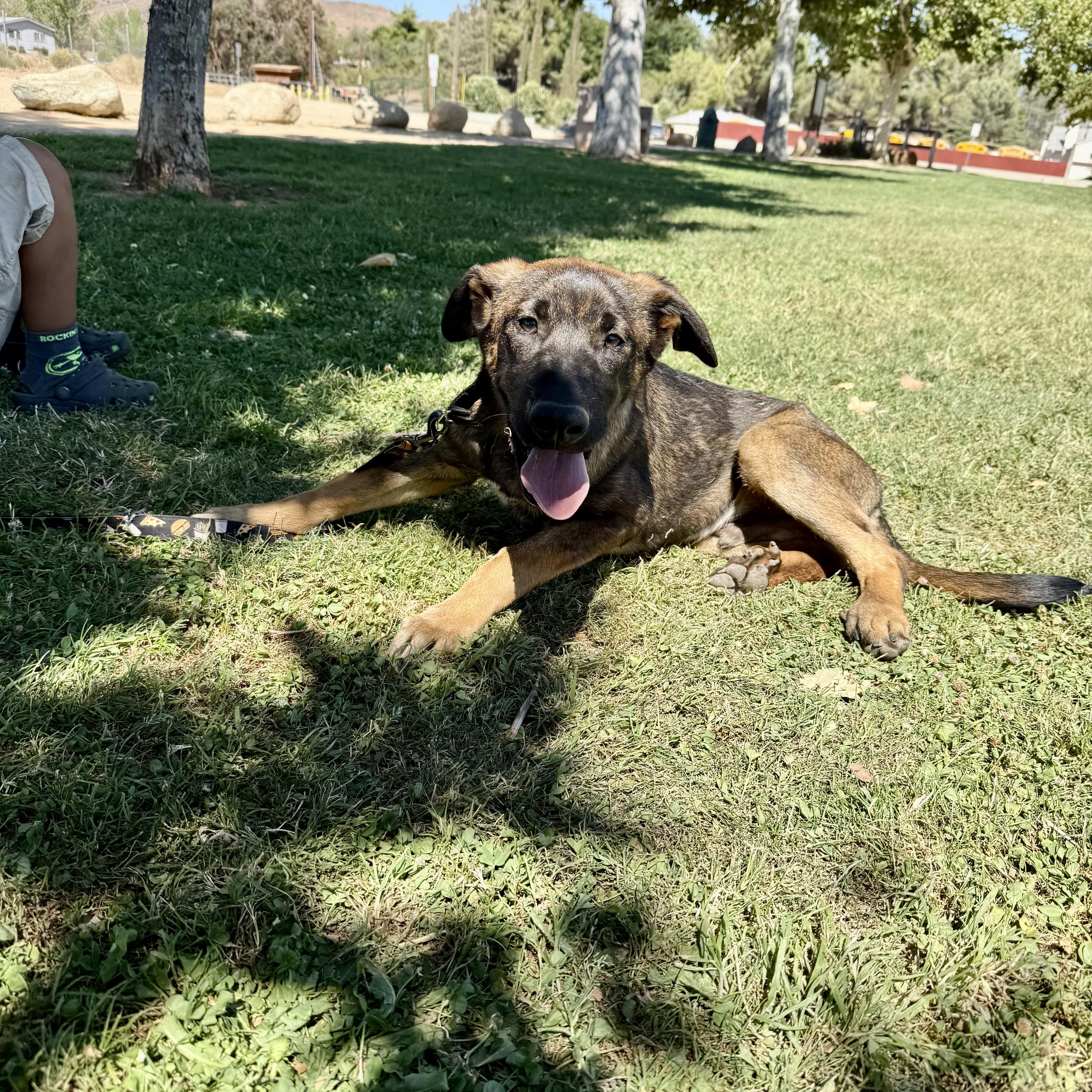 Mottomotto thumbnail 2