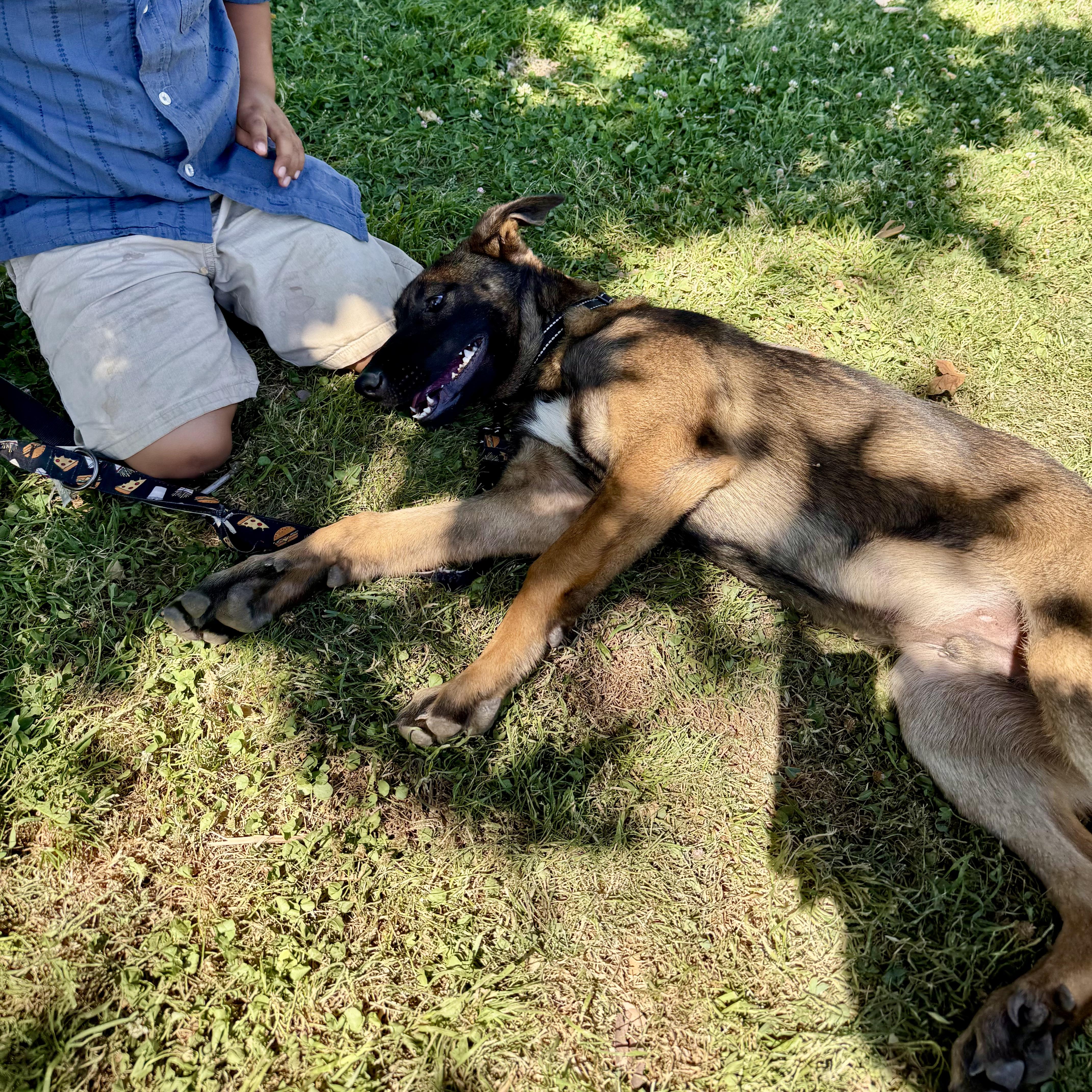 Mottomotto thumbnail 3