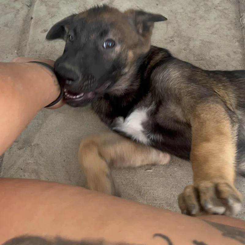 Mottomotto thumbnail 4