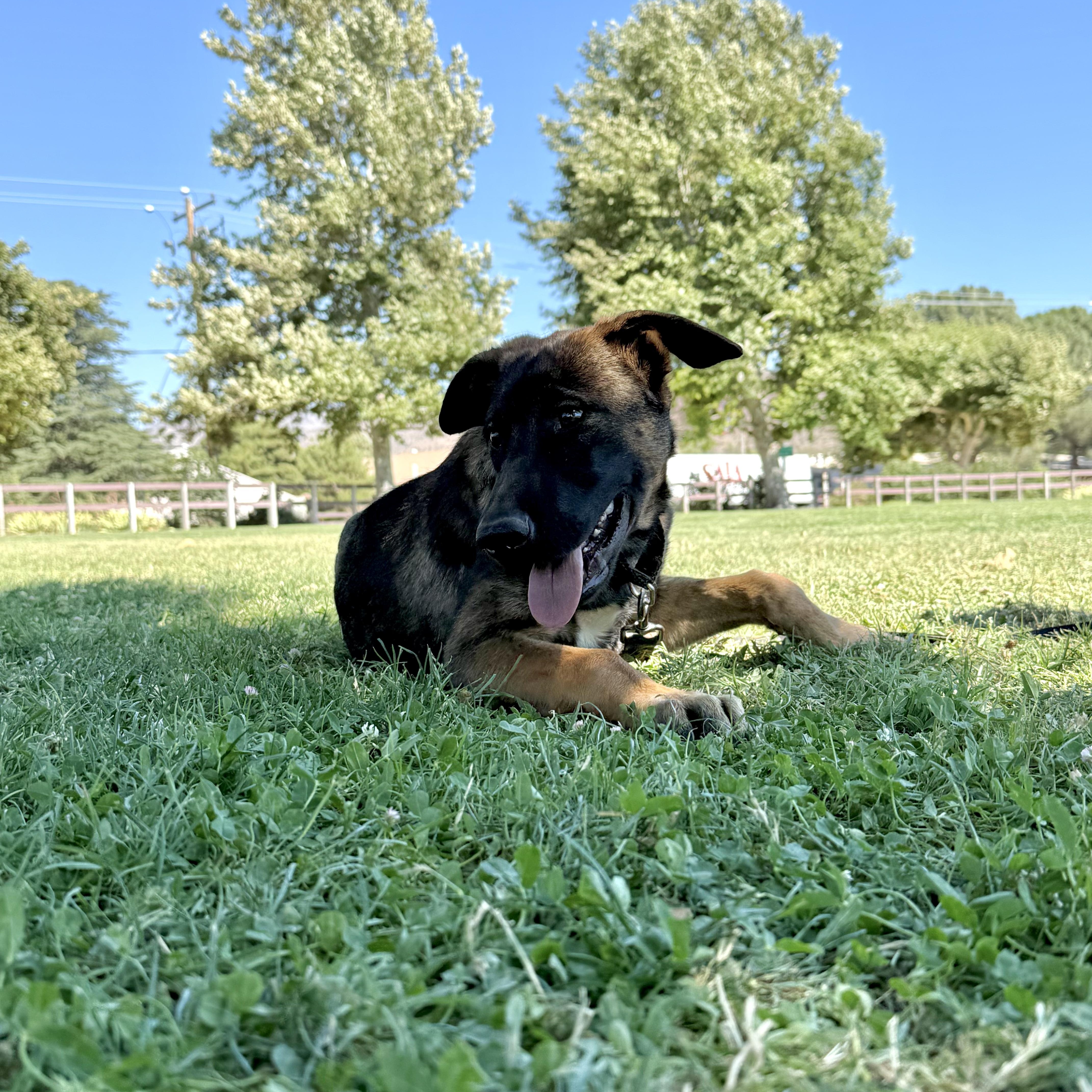 Mottomotto thumbnail 5