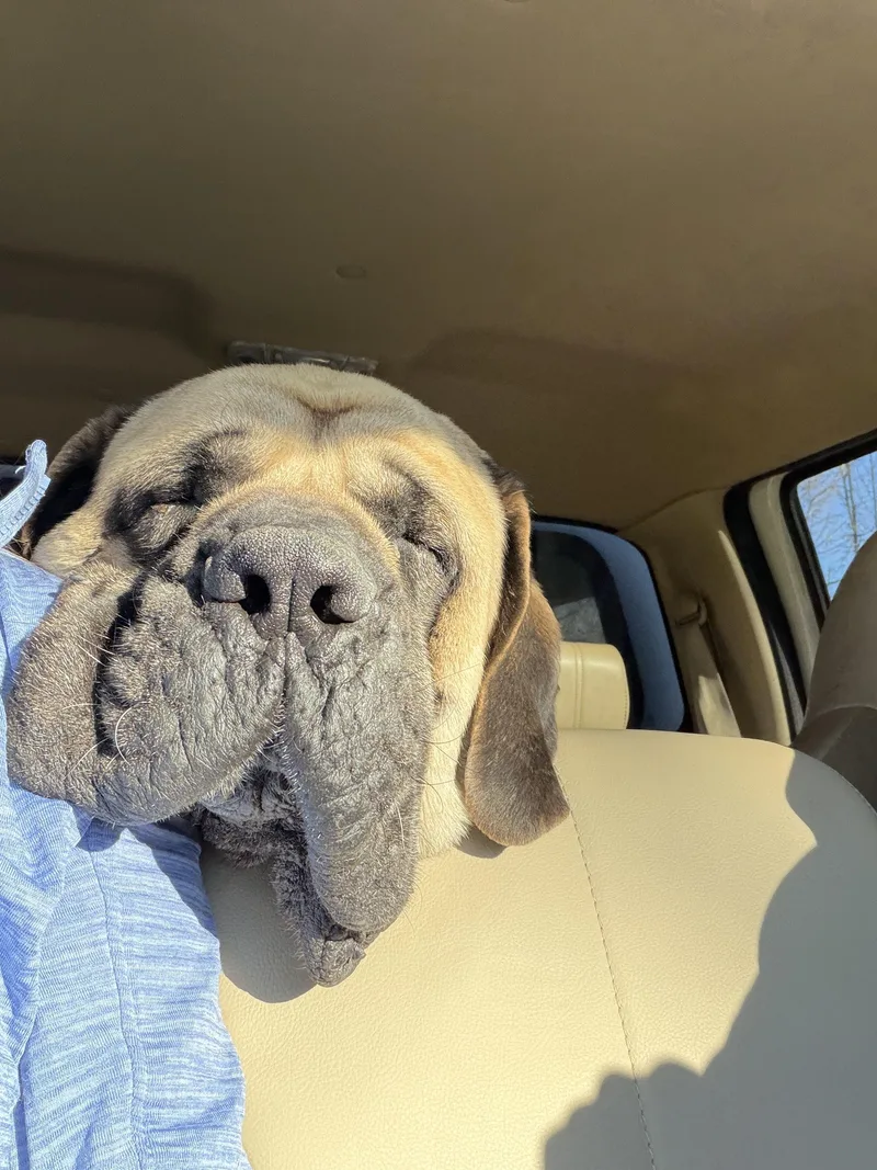 Picasso  Mi... Look thumbnail 2