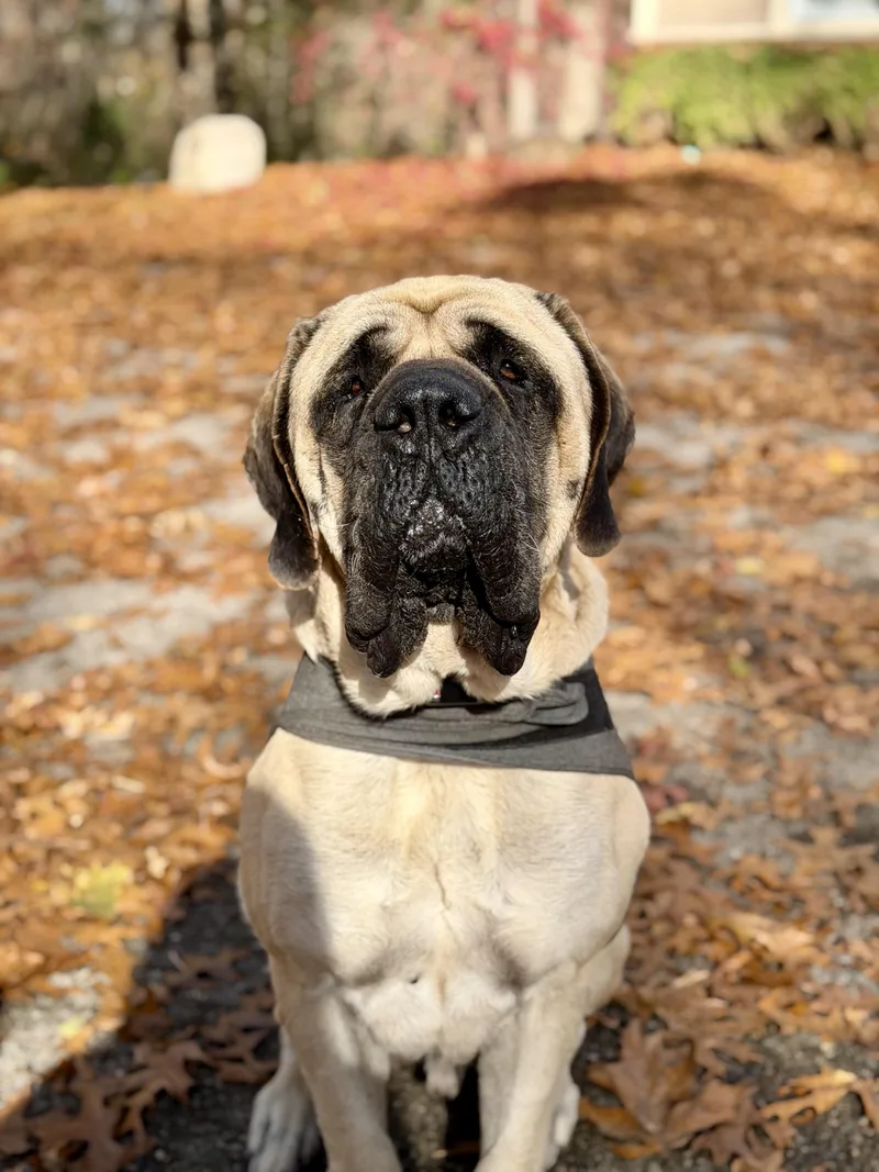 Picasso  Mi... Look thumbnail 5