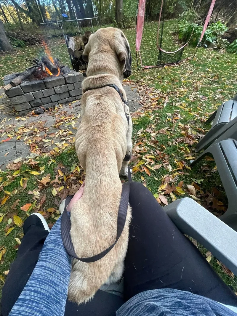 Picasso  Mi... Look thumbnail 6