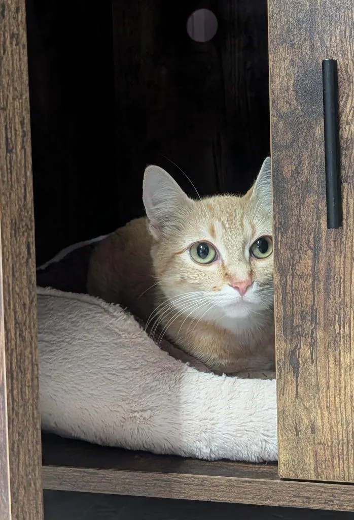 Mama Clementine thumbnail 2