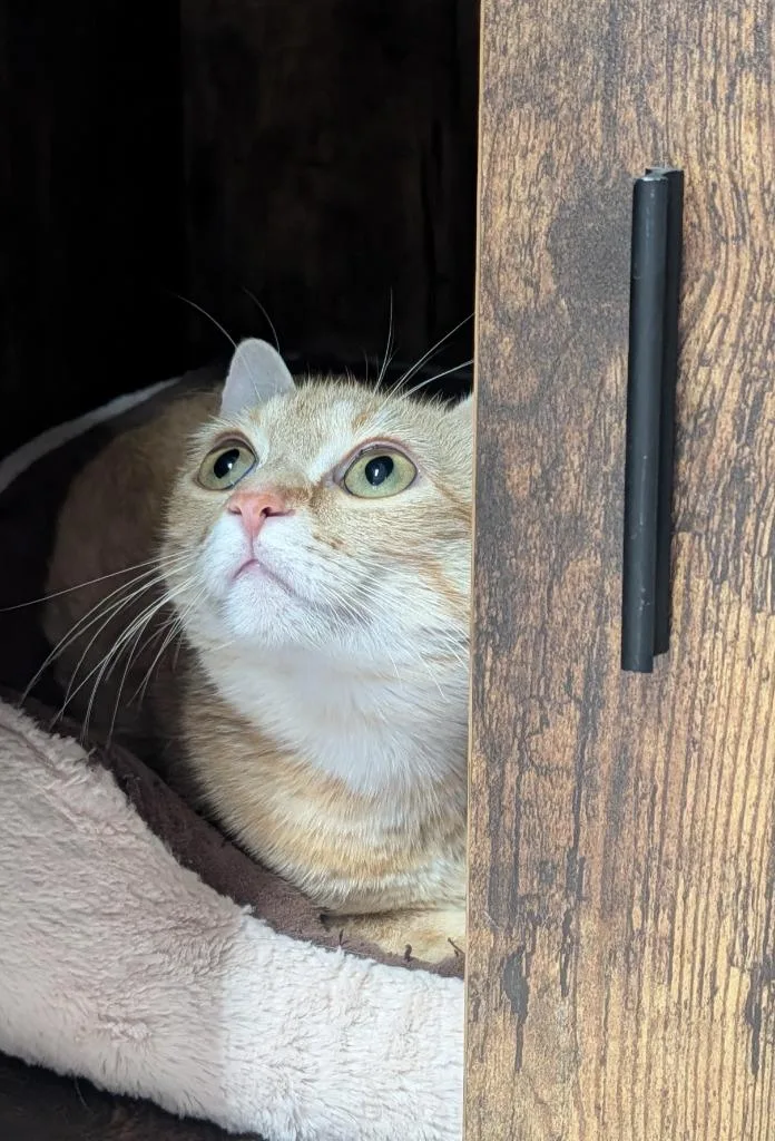 Mama Clementine thumbnail 3