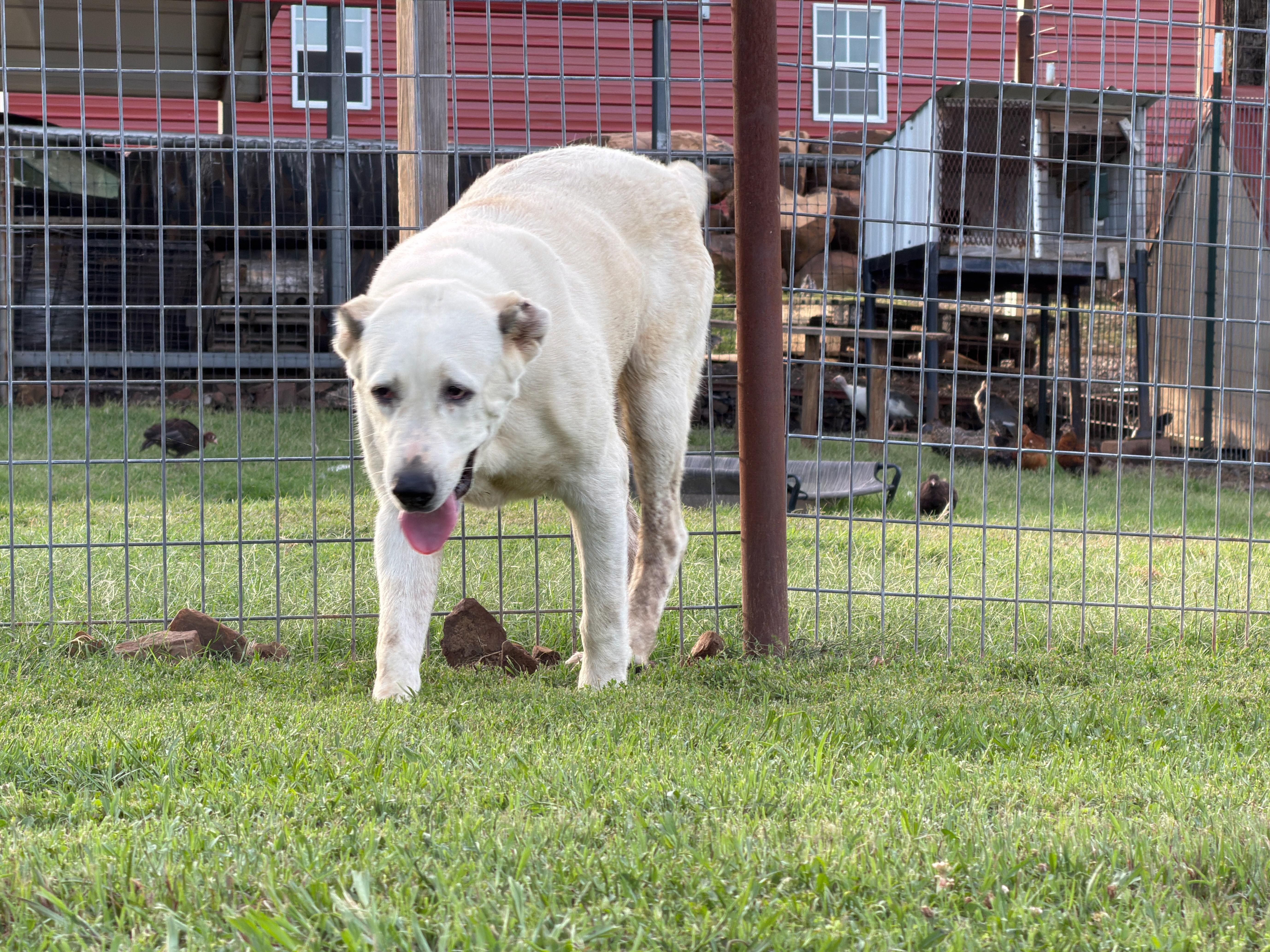 THELMA McAlester  OK thumbnail 4