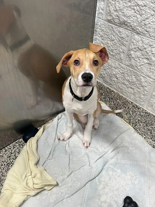 Travis Barker thumbnail 2