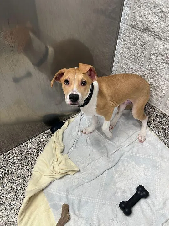 Travis Barker thumbnail 3