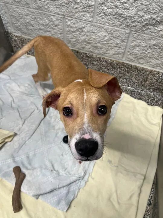 Travis Barker thumbnail 4