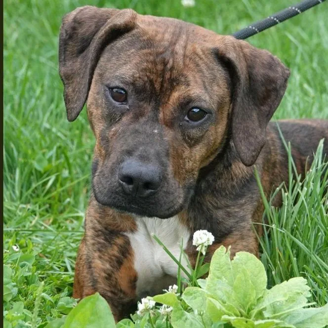 Maggie thumbnail 2