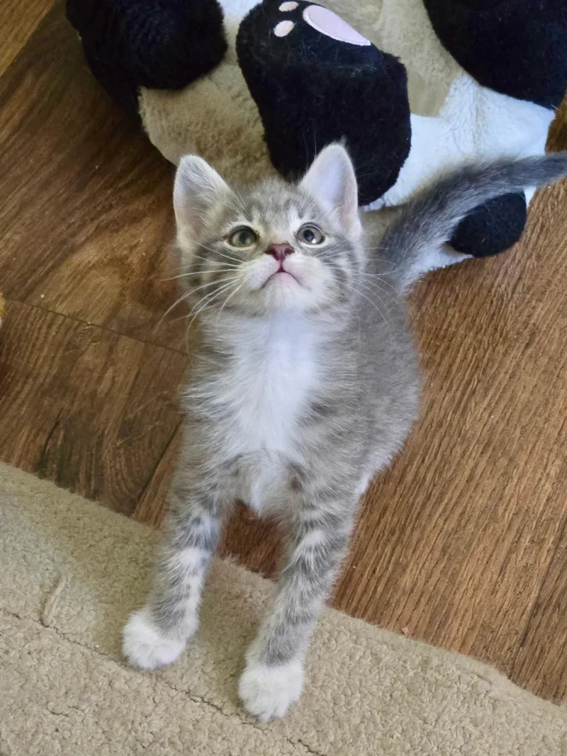 Charlie