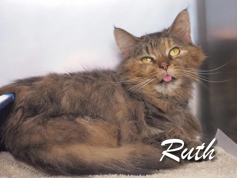 Ruth thumbnail 4