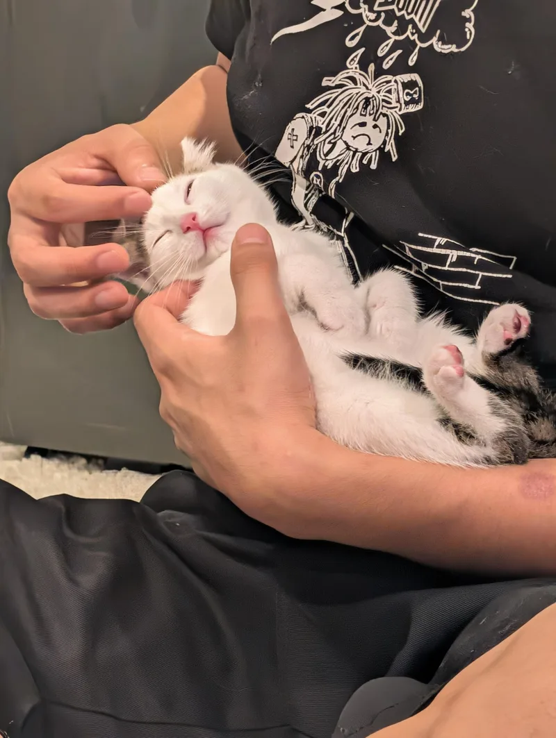 Cece thumbnail 3