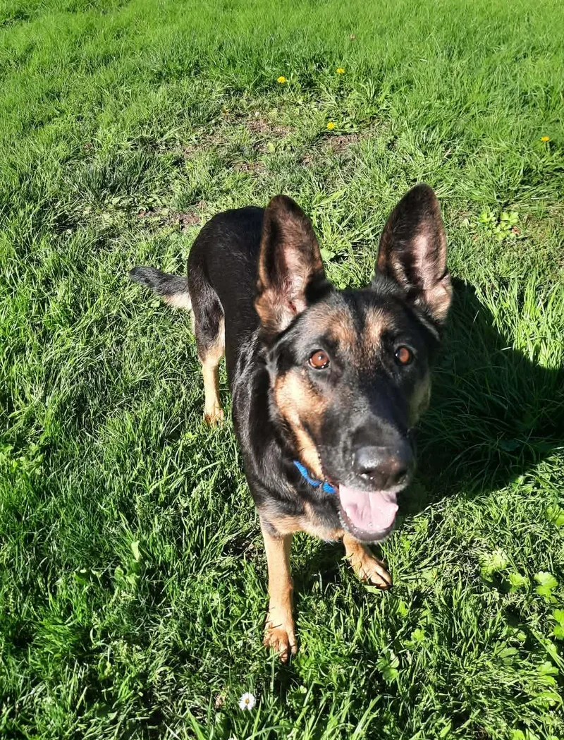 Hildie Girl thumbnail 2