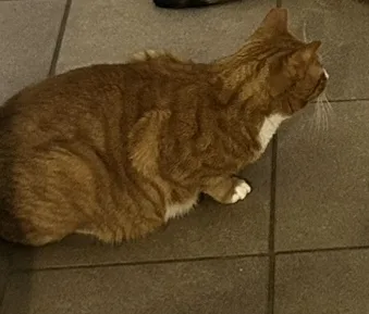 Monty & Lexi thumbnail 2