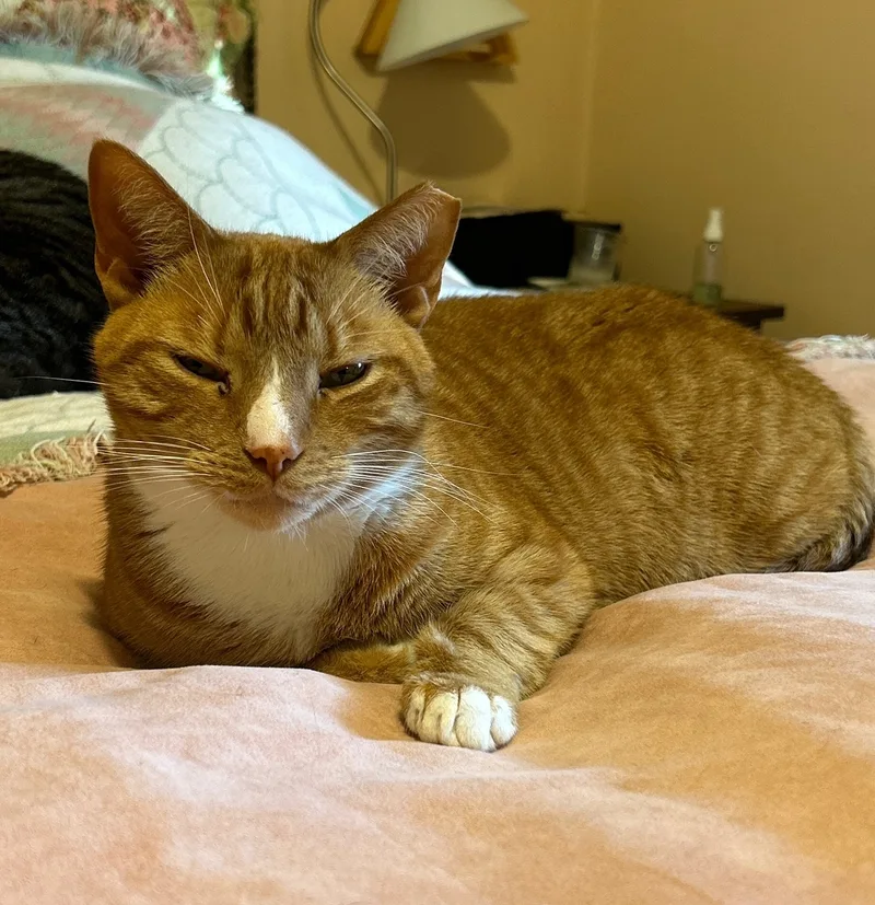 Monty & Lexi thumbnail 3