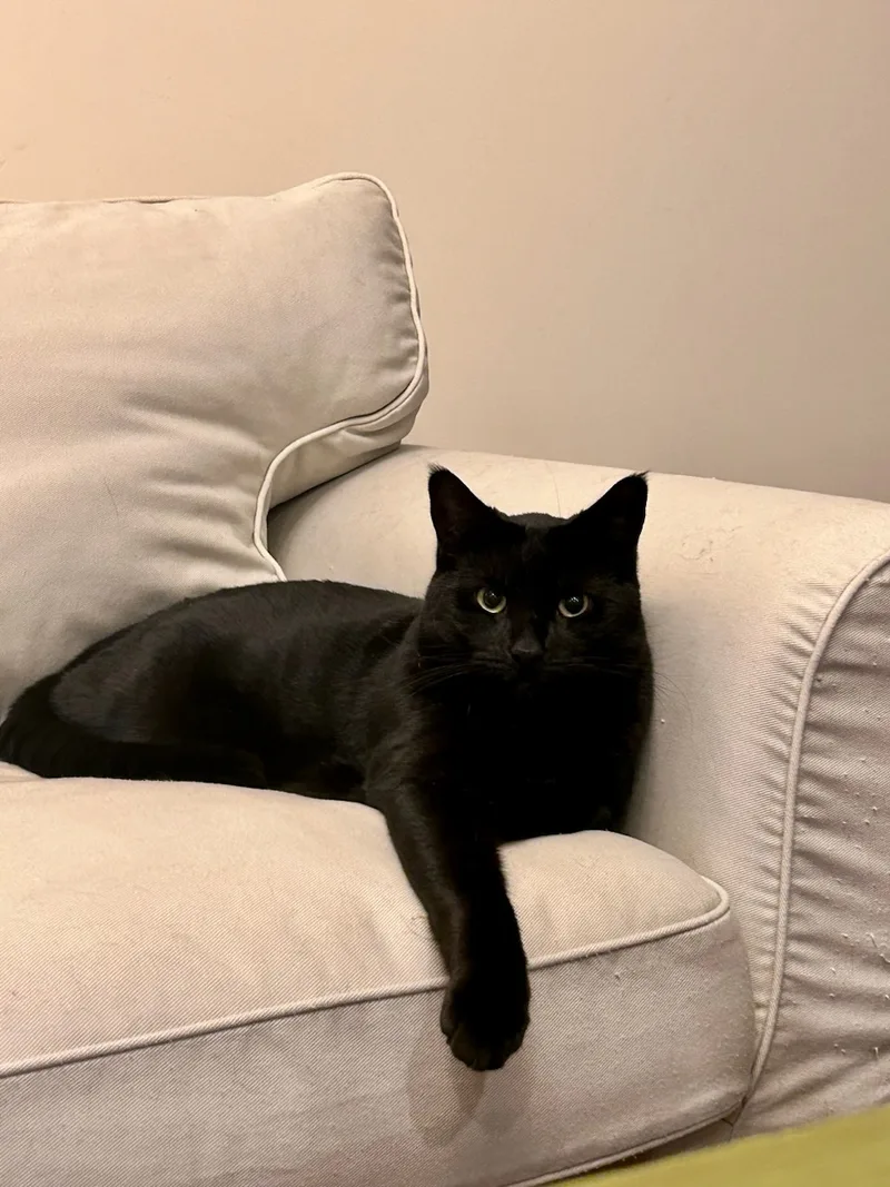 Monty & Lexi thumbnail 4