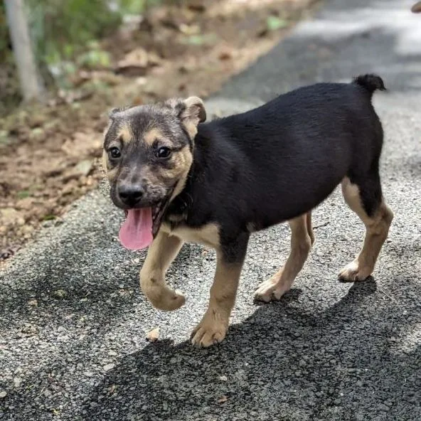 Fifi "i Will Be thumbnail 2