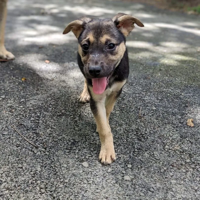 Fifi "i Will Be thumbnail 3