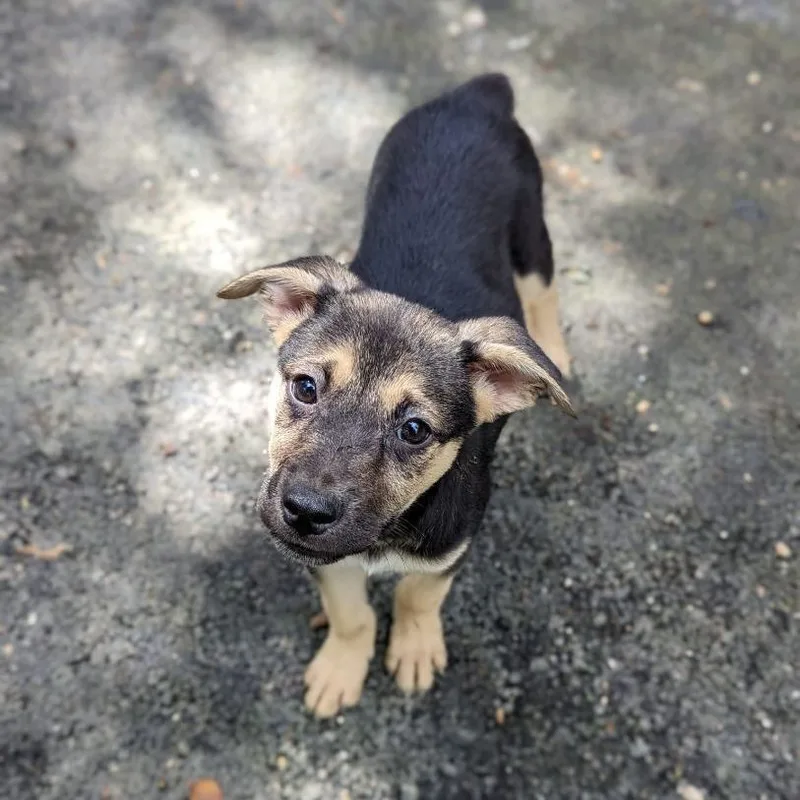 Fifi "i Will Be thumbnail 4