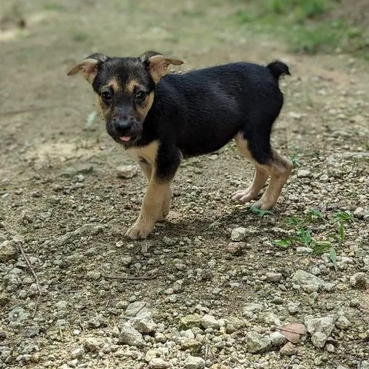 Fifi "i Will Be thumbnail 5