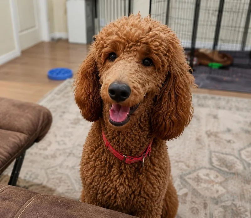 Della