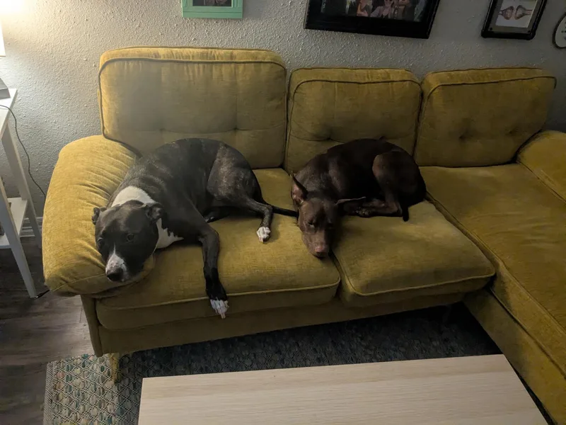 Milo Milkyway thumbnail 2