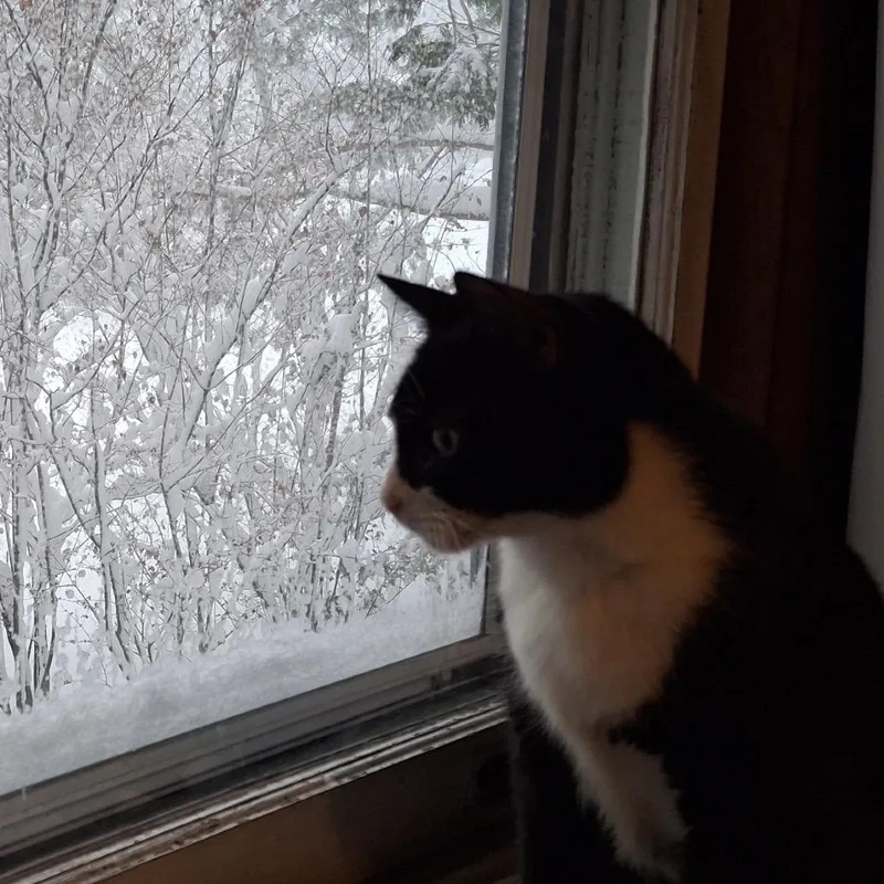 Midnight thumbnail 2