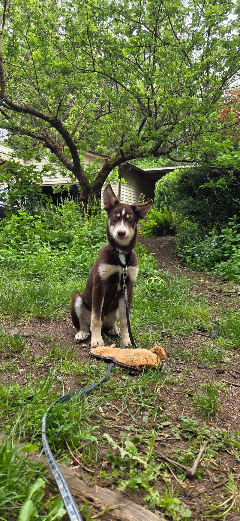 Benny thumbnail 2